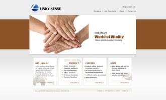 公司網(wǎng)站設(shè)計(jì) 打造專業(yè)、用戶體驗(yàn)卓越的網(wǎng)頁(yè)與網(wǎng)站